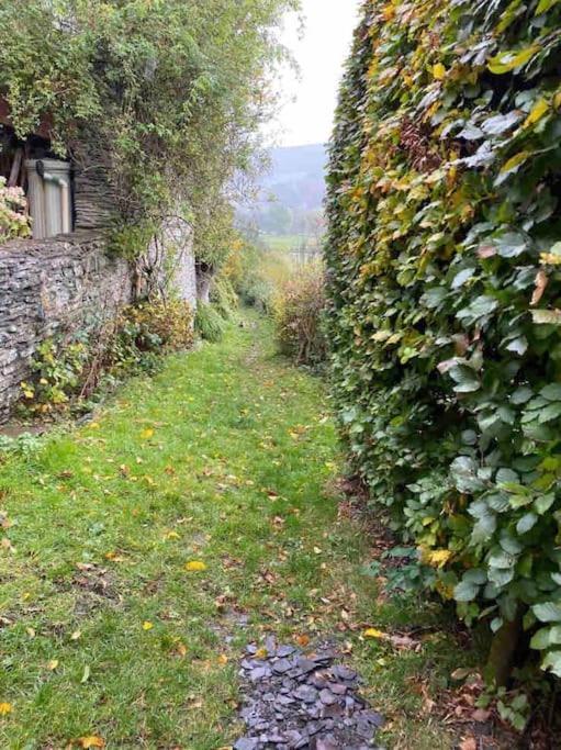 Lovely Peaceful 2 Bed Cottage Llandderfel Ngoại thất bức ảnh
